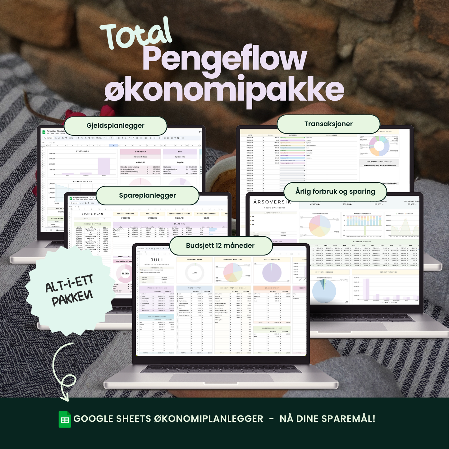 Total Pengeflow Økonomipakke