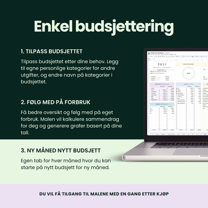 Total Pengeflow Økonomipakke